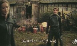 杀戮轮回在线观看,在线观看，揭秘生死轮回的惊悚之旅